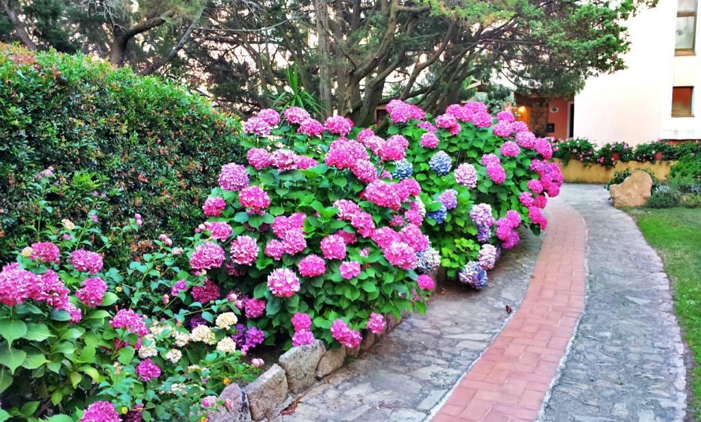 Hotel Valdiola Porto Cervo Kültér fotó
